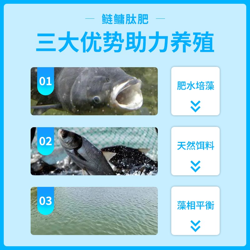 现货鲢鳙速长肽花白鲢鱼肥水产养殖专用培藻膏鲤鳙鱼塘速长肥乐丁