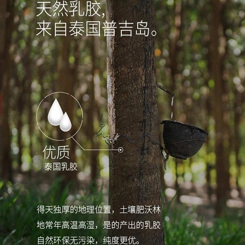 工厂销泰国皇家儿童护颈卡通乳胶枕学生单人四季通用原.装进口官