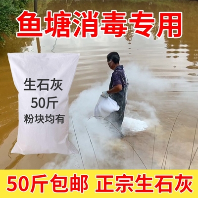 生石灰粉鱼塘消毒农用土壤杀虫果树刷树刷墙除湿氧化钙颗粒石灰块