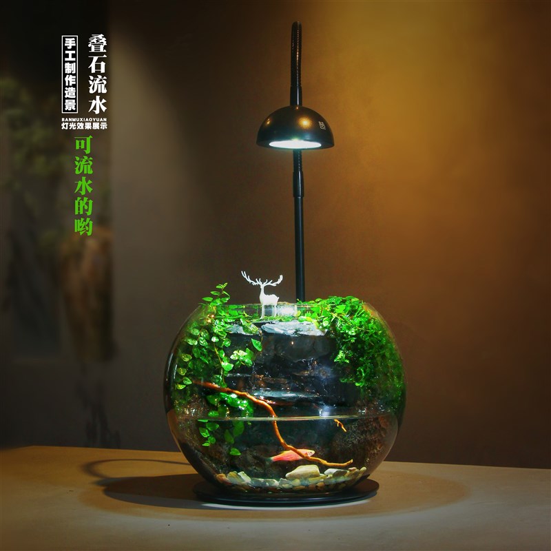 【团团圆圆】玻璃生态瓶室内桌面迷你水陆苔藓微景观造景绿植盆栽