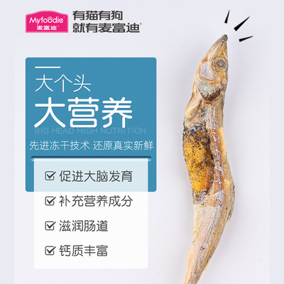 宠物用品冻干多春鱼猫咪零食小鱼干满籽补充营养成幼猫粮猫冻干罐