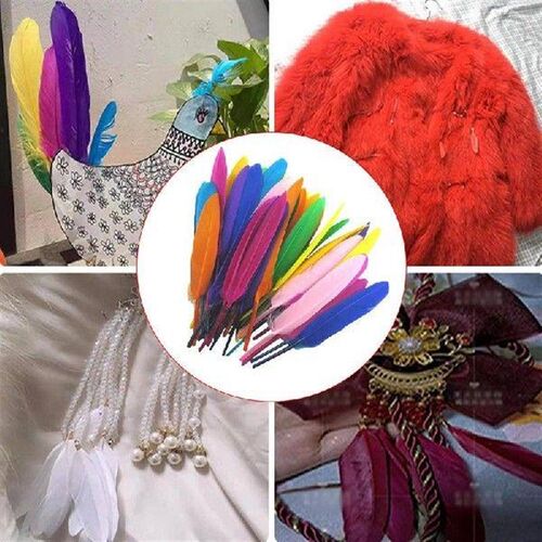 小众高货.Craft Feathers 50pcs/Set Colorful Feathers Colored