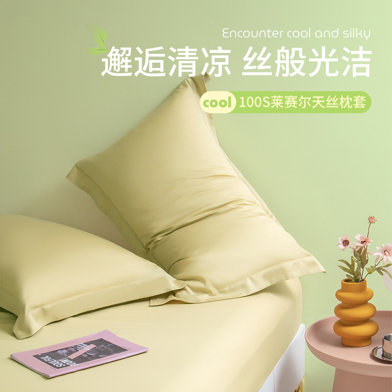 2023新品100支天丝枕头套48cmx74cm真丝枕套高档夏冰丝枕芯内胆套