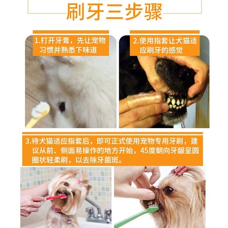 速发狗狗牙刷牙膏套装猫咪刷牙猫狗除口臭用品泰迪宠物牙齿洁牙可