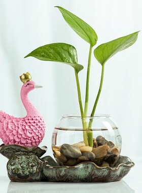 创意绿植水养玻璃花瓶花器陶瓷复购居家饰品桌面卧室客厅装饰摆件
