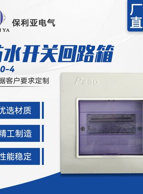 PZ30-4回路箱蓝色面板可换 照明配I电箱应急家用 防水开关箱回