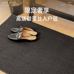 入户门地垫门垫进门地毯客厅玄关大门口室外入门防滑家用入户脚垫