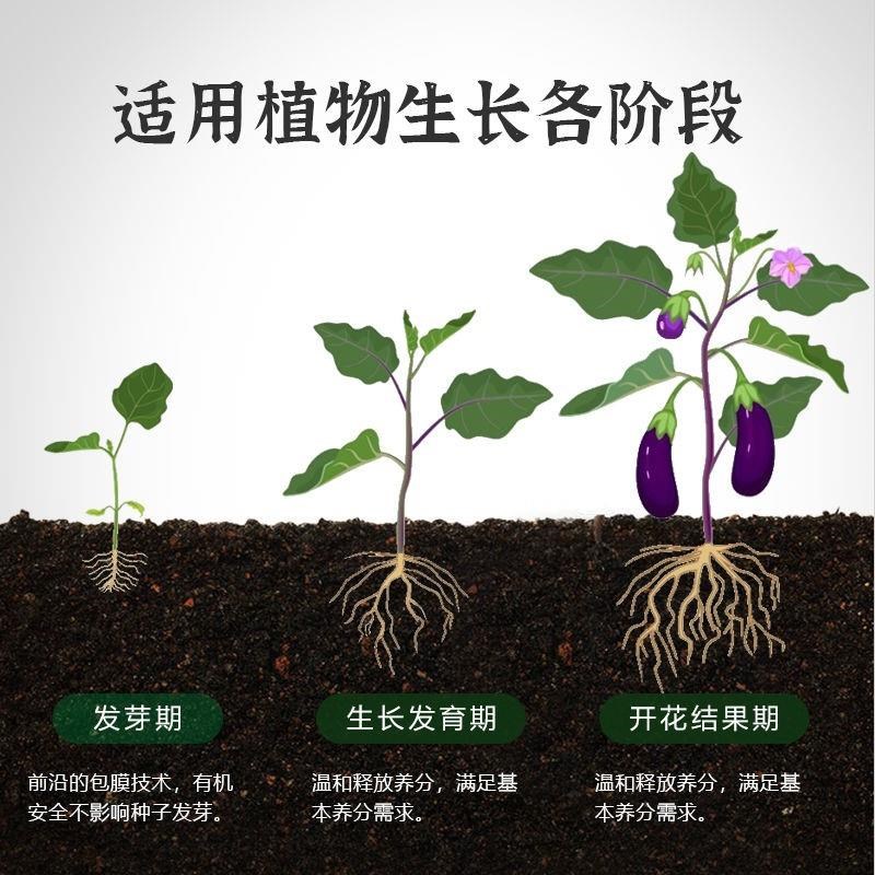 【植物缓释片】家里的植物枯黄、掉叶、烂根、不开花,赶紧用这个