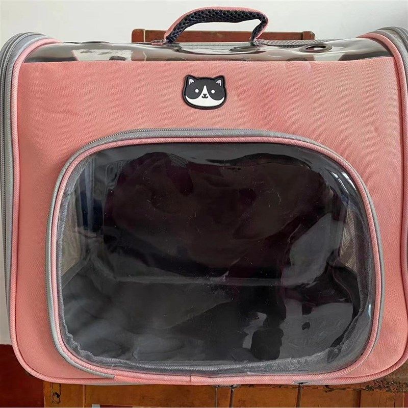 糖果色猫包外出便捷透气大容量双肩背包装狗狗猫咪背包用品,宠物/宠物食品及用品,背包/箱包,淘宝优惠券,粉丝福利购,淘宝优惠卷