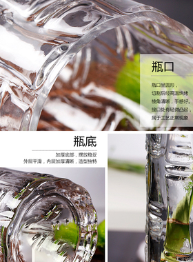 大号富贵竹玻璃透明花瓶高款插花马醉木竹子水竹落地圆柱家用直筒