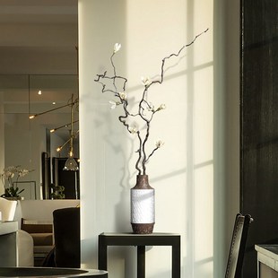 龙枣枝干树枝装饰插花干枝摆件干支花束插花客厅落地摆设花艺真花