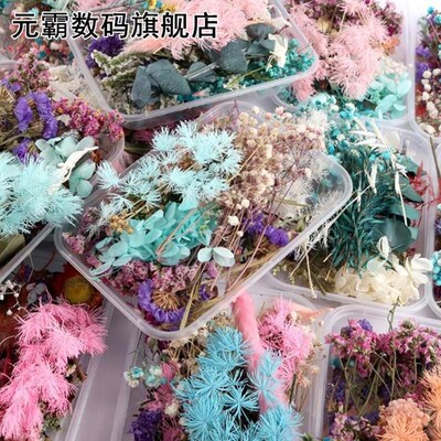 1 Box Real Mix Dried Flowers 适用于 Resin Jewellery Dry Plan