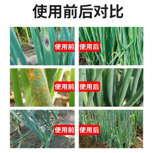 新品葱专用药葱病全治干尖黄叶白斑灰霉葱锈病叶枯发黄烂根杀菌剂