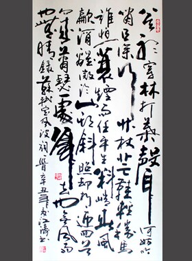 F2CZ苏轼定风波书n法字画定 制作品名家手写真迹茶室客厅书房装饰