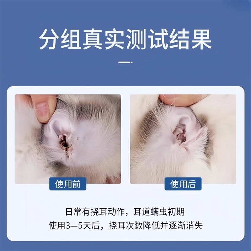 宠物除耳螨耳道清洁护理仪臭氧吹气原理猫咪狗狗告别耳螨耳朵异味