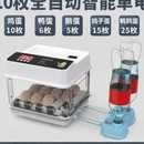 爆品厂销b柯尔鸭孵化器小型家用孵化机全自动智能孵蛋器小鸡鸭鹅
