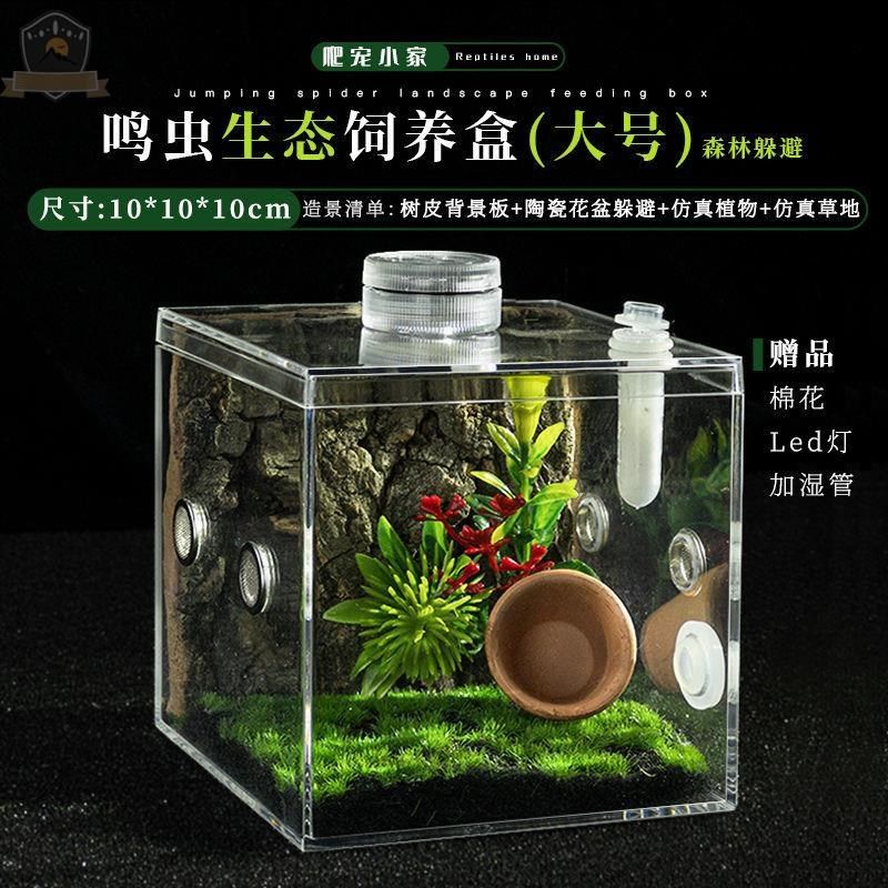 ly高透油葫芦透气蜗牛攀爬竹蛉饲C养箱树栖鸣虫生态盒亚克力蝈蝈