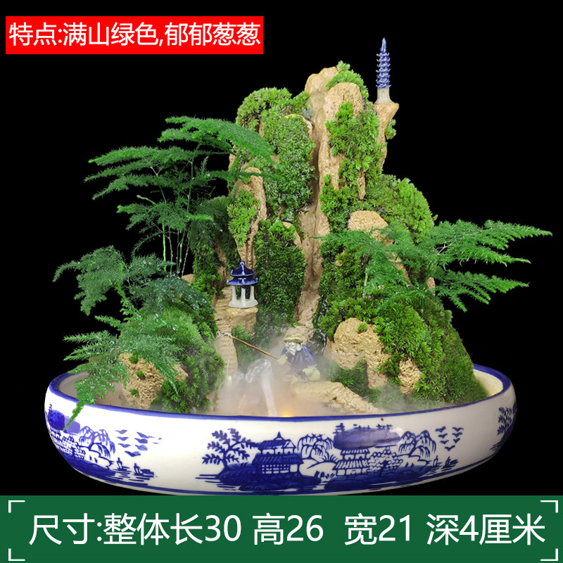 小众高货山水盆景六月雪罗汉松文竹盆栽树桩悬崖植物室内吸水假山