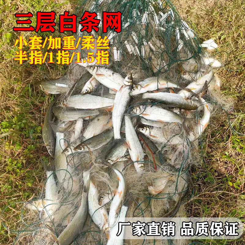 工厂销白条d专用鱼网三层渔网粘网丝网餐条网浮沉网马口网小鱼网1