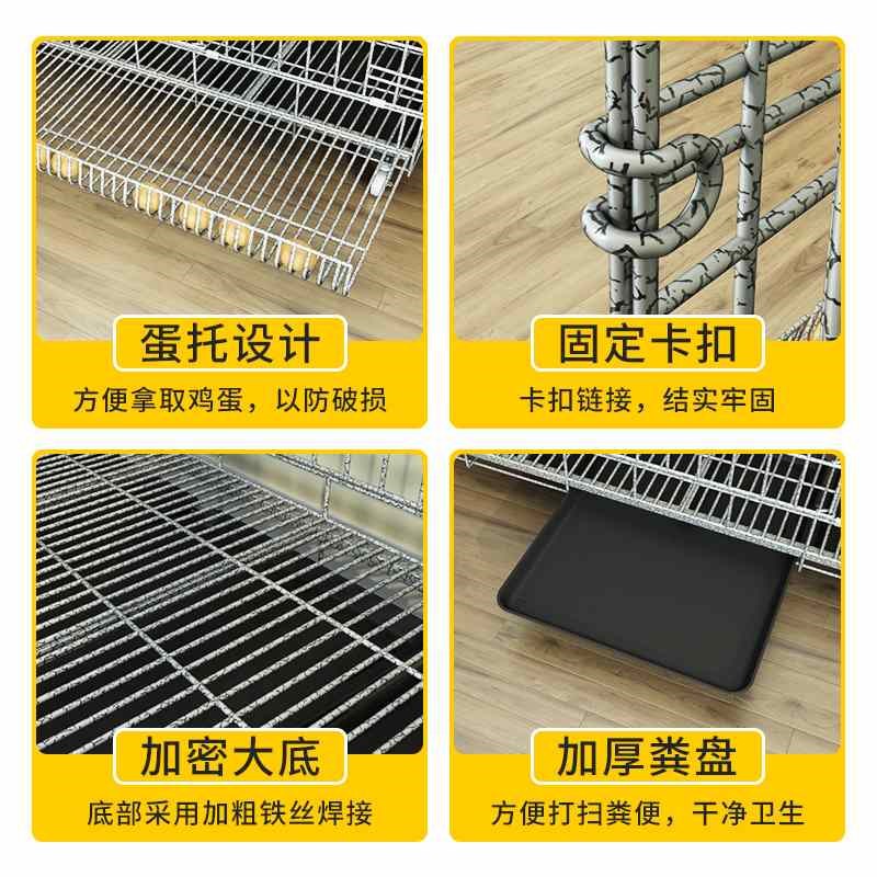 鸡笼子加粗大号家用养殖笼自动滚蛋折叠鸭笼狗笼鹅笼加固厂家直严