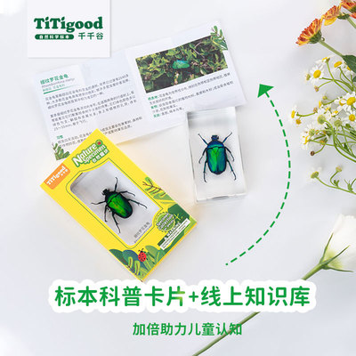 titigood千千谷自然魔块真z虫树脂标本乌贼蝴蝶昆虫海洋乌龟玩具