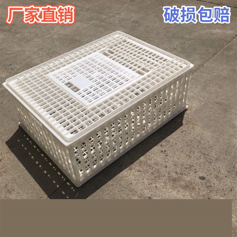 塑料鸡笼周转箱装鸡塑料筐周转笼鸡笼家禽鸡鸭运输笼养鸡笼装鸡框