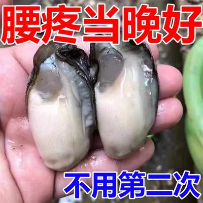 椎间盘突出压e迫神经腰椎部位型腰疼克星修复腰肌损伤专用腰椎贴X