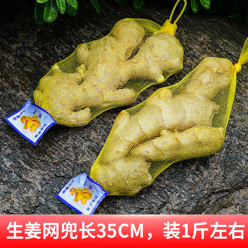 现货大蒜网袋包装袋生姜网袋超市姜蒜袋J子尼龙编织包装袋网兜包