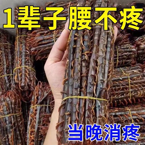 热销【腰越疼越有用】腰突压迫神经腰疼间盘突出腿疼腰椎部位型膏