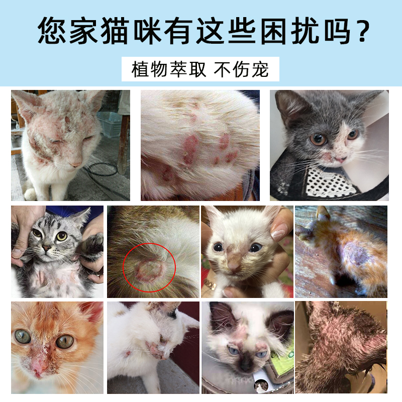 猫藓外用c软膏猫咪皮肤问题真菌感染猫癣幼猫湿疹皮炎螨虫护理专 宠物/宠物食品及用品 皮肤喷剂 原图主图