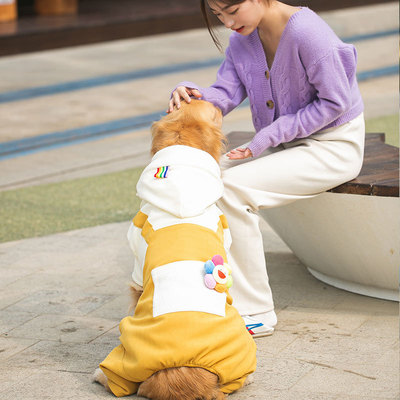 大型犬冬季衣服柴犬哈士奇边境牧羊犬萨摩耶金毛拉O布拉多阿拉斯