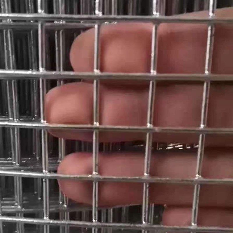 防锈热镀锌钢丝网养殖网铁丝网防鼠阳台防护网围栏鸡笼兔笼圈鸡鸭,畜牧/养殖物资,养鸡网,淘宝优惠券,粉丝福利购,淘宝优惠卷