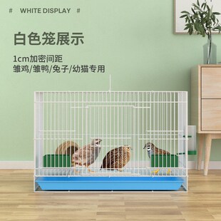 鹌鹑专用笼鹌鹑笼小型笼方笼家用养殖鹌鹑笼下蛋笼自动滚蛋鸟笼子