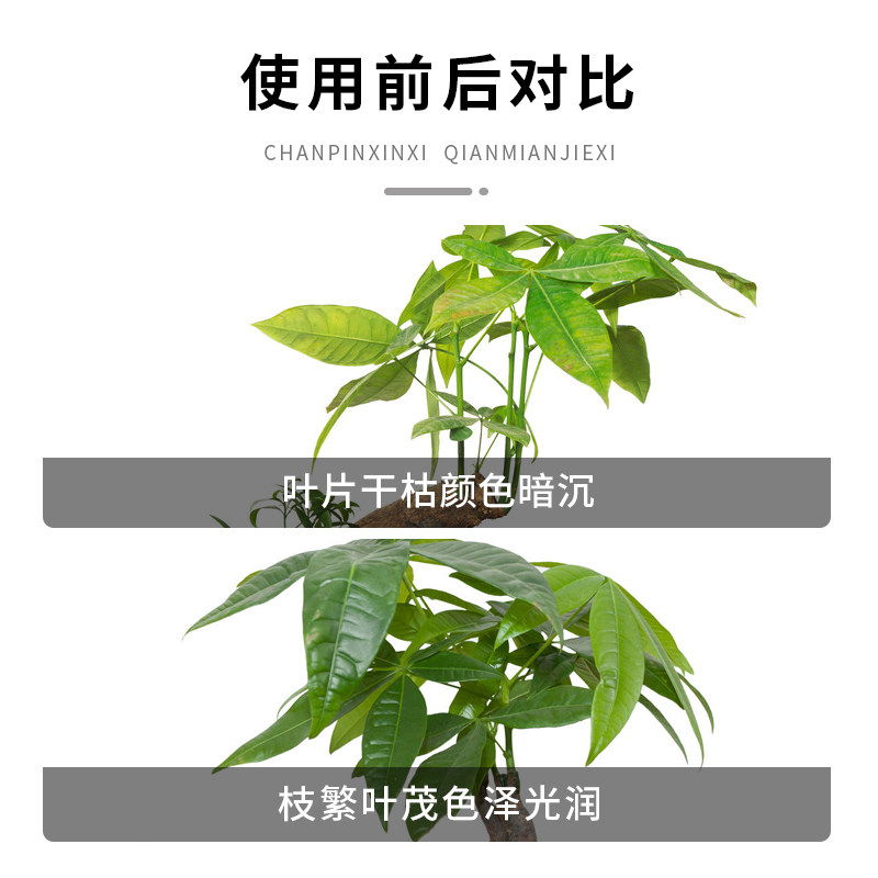 工厂销发财树营养液n肥料专用肥治叶子发黄掉叶烂根室内盆栽植物