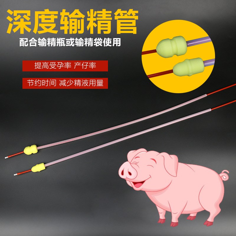 猪用输精管 海绵头大中小号人工授精深入输精管 一次性深部输精管