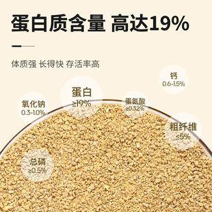 小鸡饲料家禽幼鸡鹌鹑通用开口料产蛋育雏专用芦丁鸡饲料混合粮食