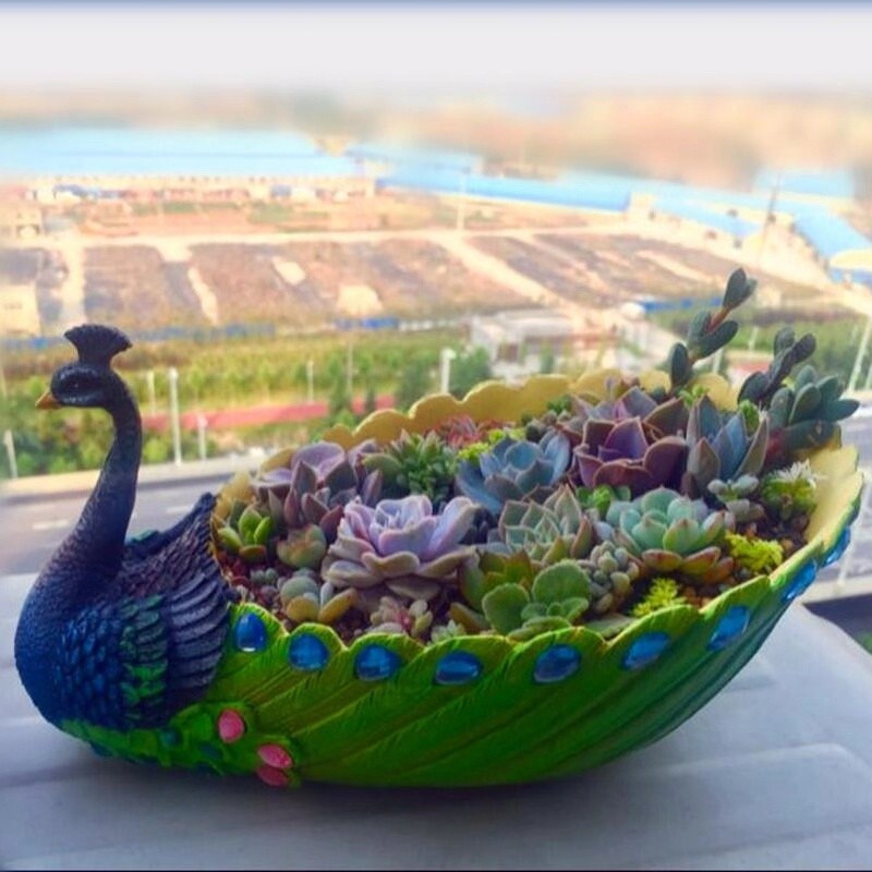 个性包拼盘邮大号植花盆家居可爱创意饰孔雀树脂多绿肉盆栽摆桌面