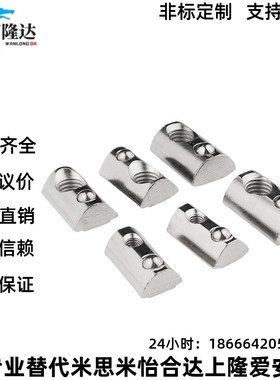 铝合金型材用  HNTP5/6/8-3-4-5-6-8后装螺母弹簧型