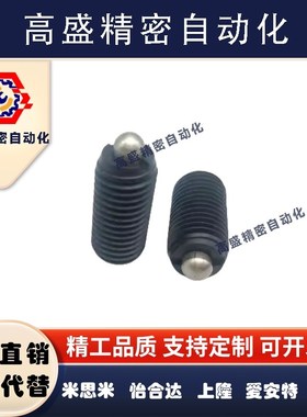 ZC204-2-1H德标弹簧锁销 闩头定位弹簧柱塞GN616