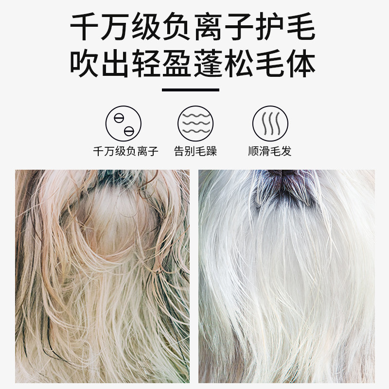 宠物吹水机狗大型犬家用烘干箱猫咪吹风机大功率狗狗洗澡吹毛神器