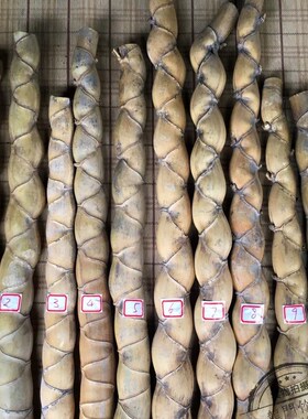 龟甲竹 竹材 原材料 7公分竹材 奇异竹 变异竹 人面竹 茶匙 现货