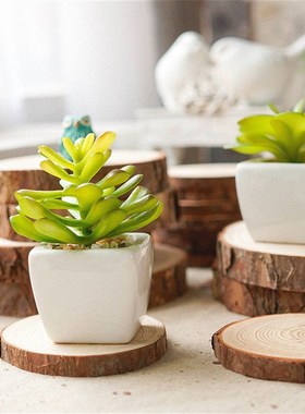 Color background wall display stump round wood log diy works