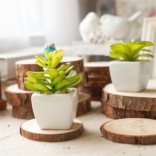 Color background wall display stump round wood log diy works