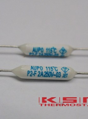 100pcs P2-2A-F 115 2A 250V degree Thermal Cutoff RF115 Therm