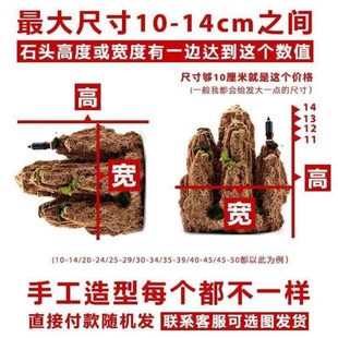 吸水石假山石盆景摆件造景上水石假山盆景原石奇石观赏石微景观