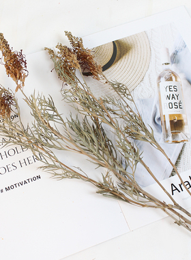 银花干花 枯枝枯叶干树枝复古插花摆件软装装饰花材