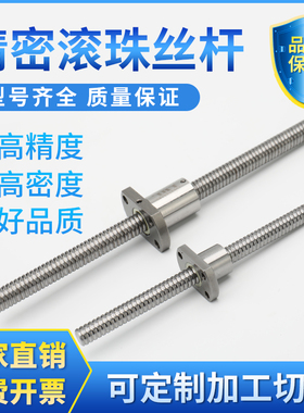 微型滚珠丝杆丝杠SFK0601 0801 0802 1002 1004 1202小导程丝杆