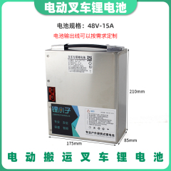 电动叉车配件地牛液压车48V12A J15A专用铅酸改锂电池