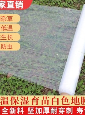 现货速发农用白色地膜保温保湿蔬菜大棚种植防草耐拉扯塑料小拱棚