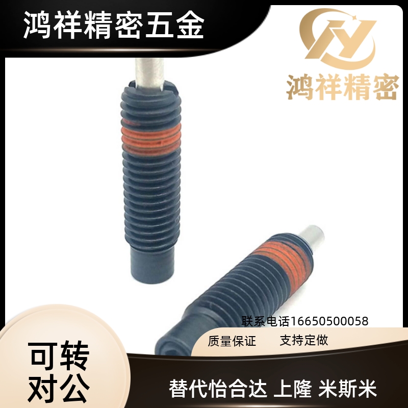 ZAW01粗牙平头轻载型弹簧柱塞 PJLF5/6/8/10/12-3/5/10分度弹性销